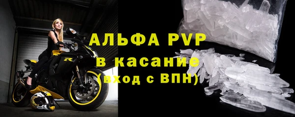молекула духа Каменка