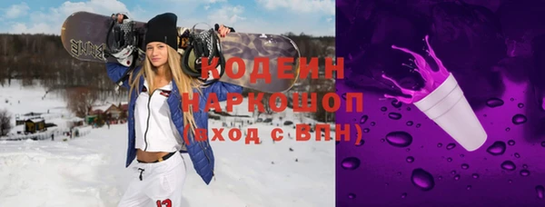 молекула духа Каменка