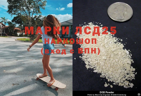 молекула духа Каменка