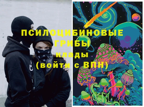 молекула духа Каменка